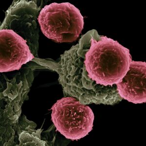 Vaccine Based Immunotherapy 1024x1024 1