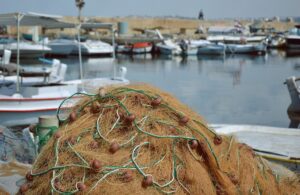 fishing net