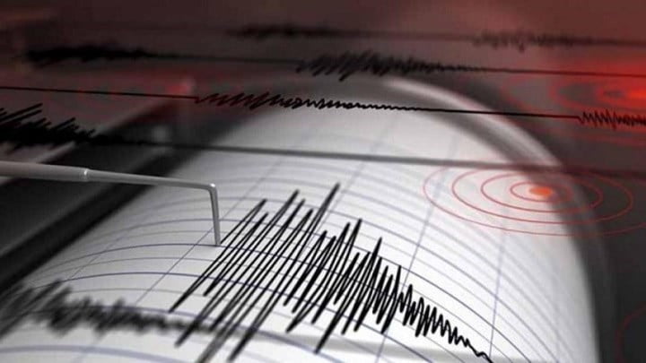 seismografos workenter
