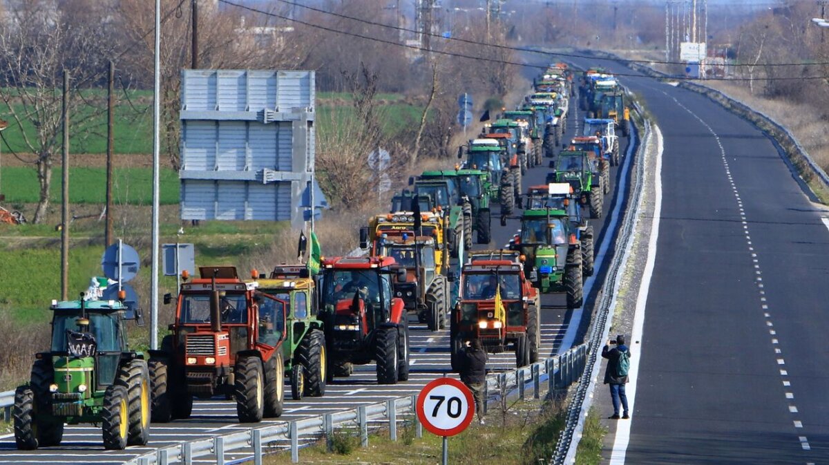 agrotes