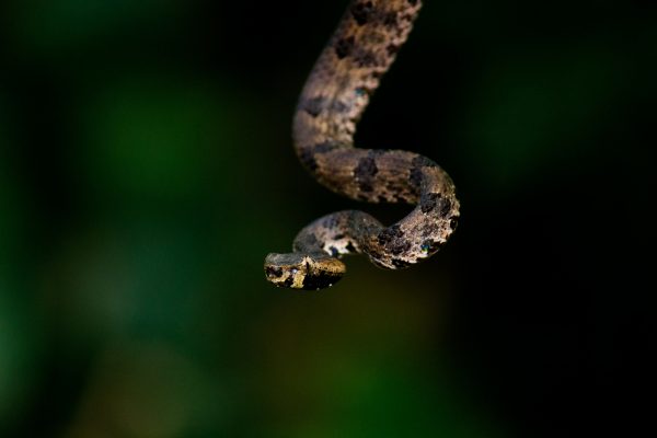suresh ac pu7uZWucNeY unsplash 600x400 1