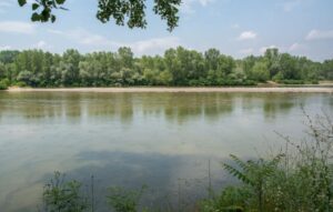 Καταγραφή 249