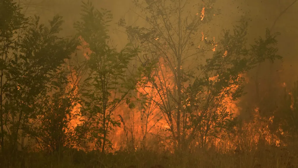 Fotia Evros 1020.jpg