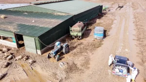 nekra zoa karditsa 1020.jpg