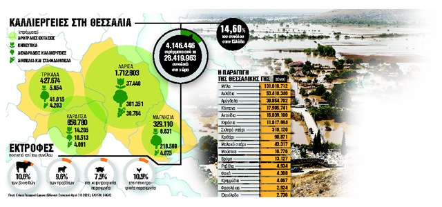 ΠΑΡΑΓΩΓΗ ΘΕΣΣΑΛΙΑ ΠΡΟΪΟΝΤΑ ΚΑΛΛΙΕΡΓΕΙΕΣ