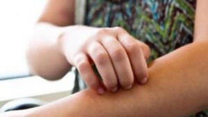 tsimpimata entomon 1280x720 1