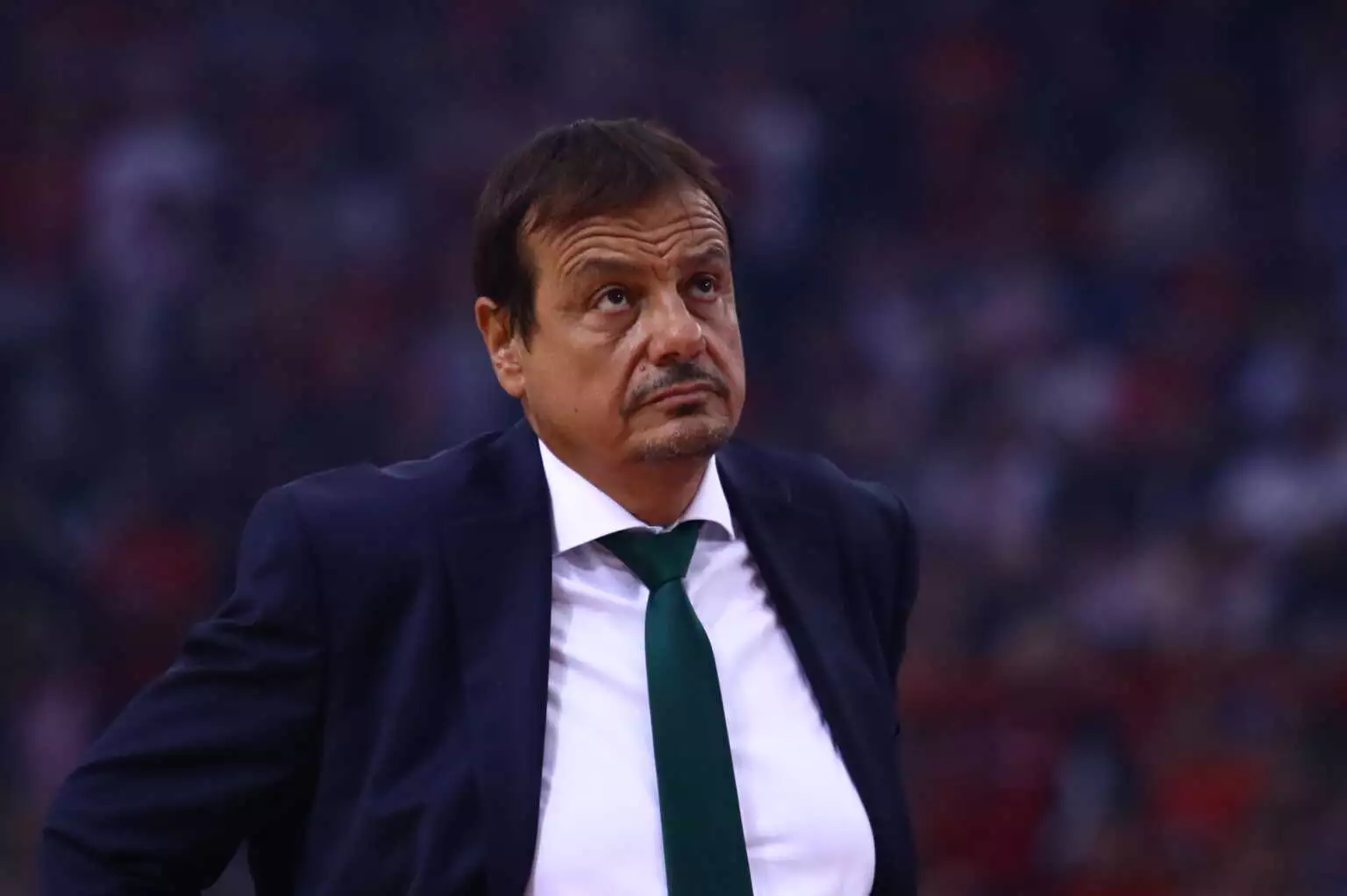 ataman 8 1536x1022