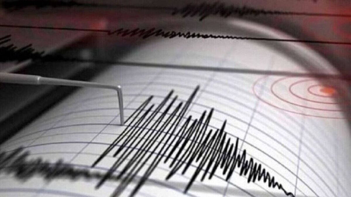 seismosw