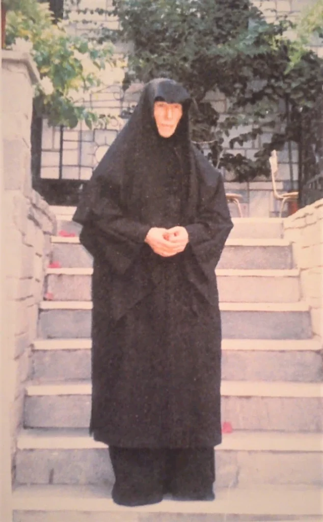 ΗΓΟΥΜΕΝΗ ΑΚΥΛΙΝΑ 2