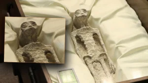 1000 year old alien corpses