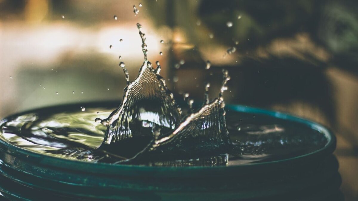 amritanshu sikdar LoGnr w1D8E unsplash