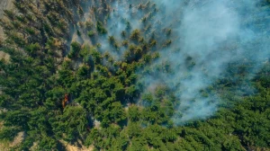 fire google (Αντιγραφή)