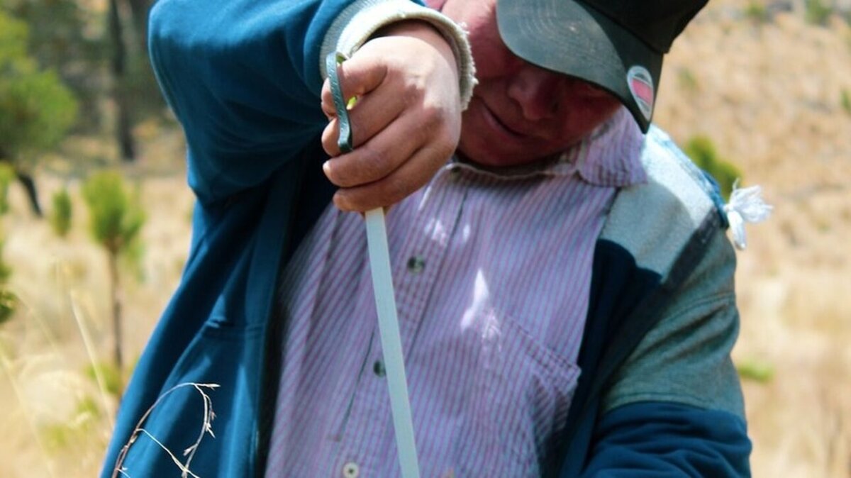 sampling 6186533 1280