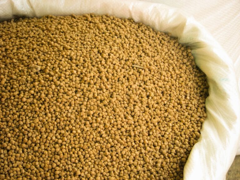 animal feeds 768x576 1