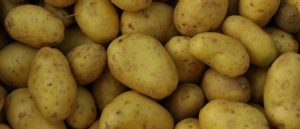 patates neurokopiou 696x300 1