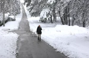 snow intime 0.jpg