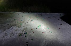 Μεγάλη αστυνομική επιχείρηση στη Δυτική Αττική Κατασχέθηκαν όπλα και πλήθος φυσιγγίων