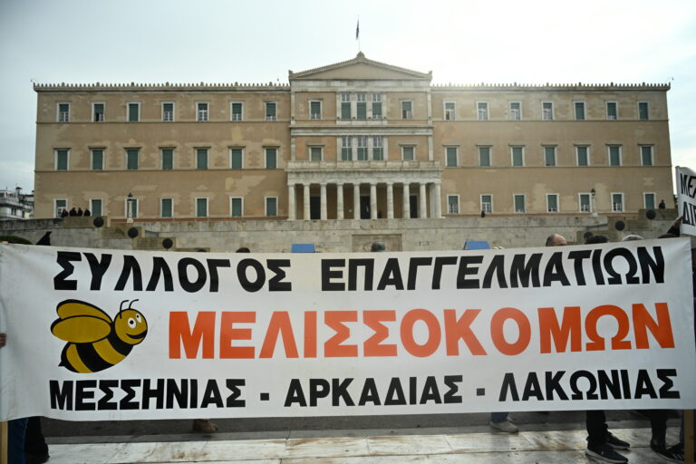 Συνάντηση Αυγενάκη – μελισσοκόμων: Εντατικοί έλεγχοι για τις ελληνοποιήσεις