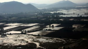 ΕΛΓΑ Σήμερα η συμπληρωματική πληρωμή 1,3 εκατ. ευρώ στη Θεσσαλία