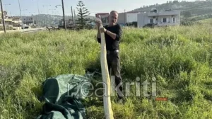 ΠΥΘΩΝΑΣ ΗΡΑΚΛΕΙΟ
