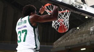 antetokounmpo-derbi-aivnivn