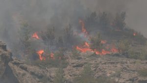 Φωτιά στο Λασίθι Αμείωτη η ένταση των ανέμων, διάσπαρτες εστίες δυτικά του οικισμού Κουτσουρά