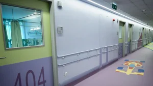 9xronos metalliki porta nosileia