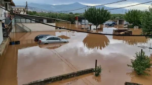 diki ianos plimmiria