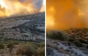 PAFOS