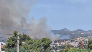 fotia drospoigi oropoy