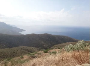 oikopeda 2