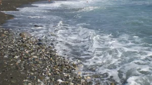 thalassa