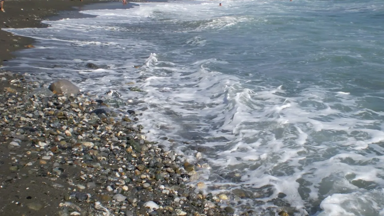 thalassa