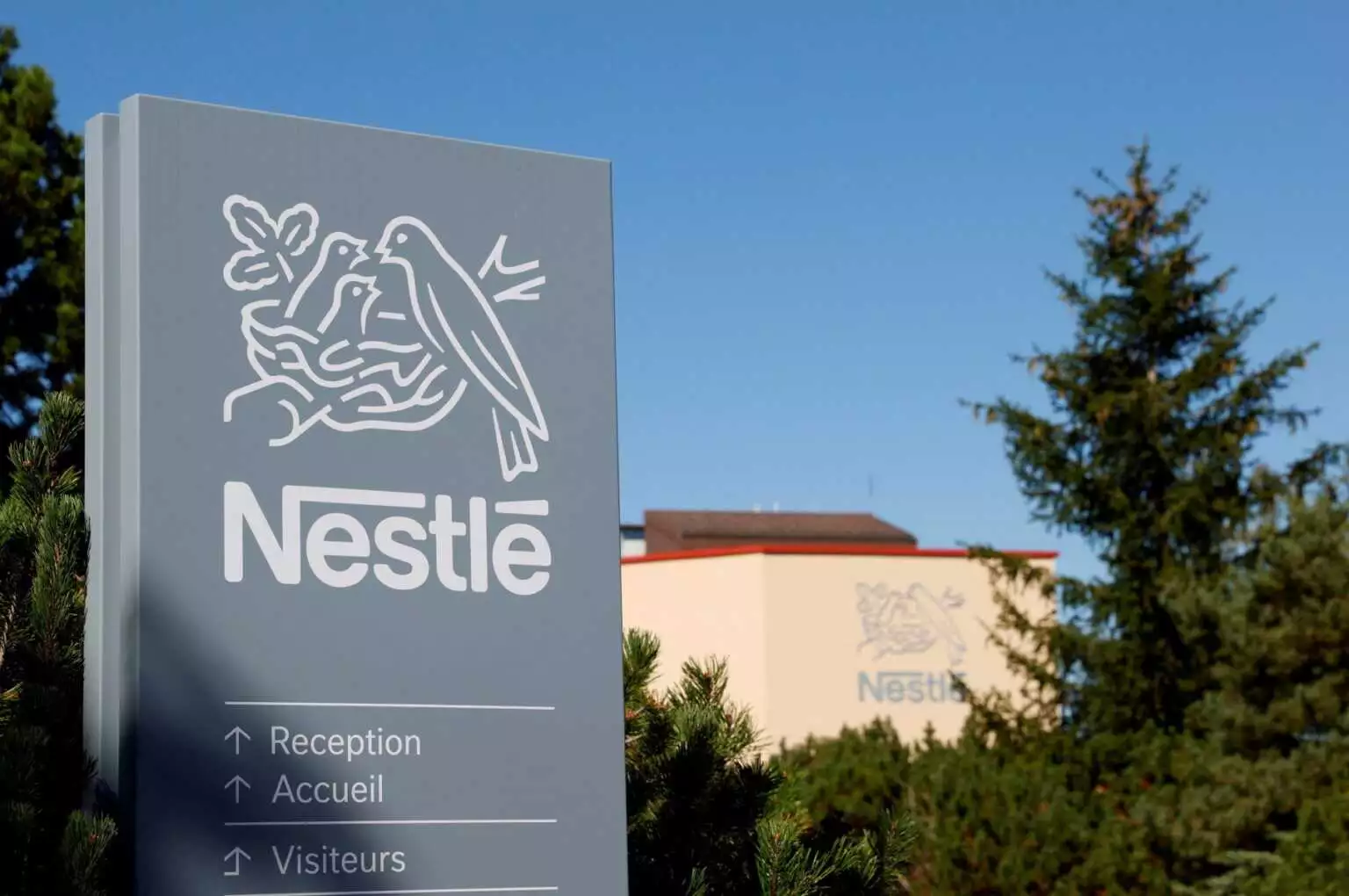 NESTLE BULLYING REUTERS 11 02 20 1536x1020 (1)