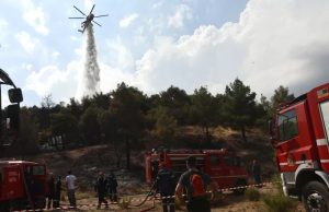 fwtia 0607