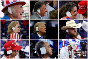 opadoi trump 1 1536x1024