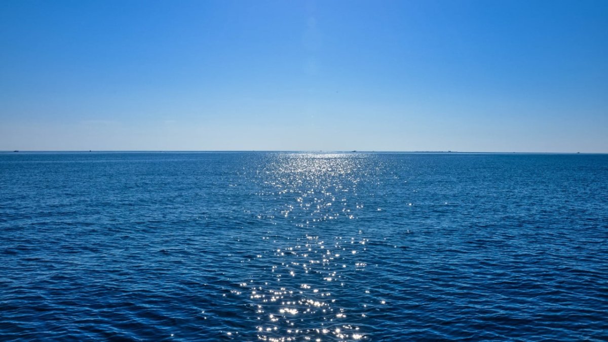 thalassa kausonas