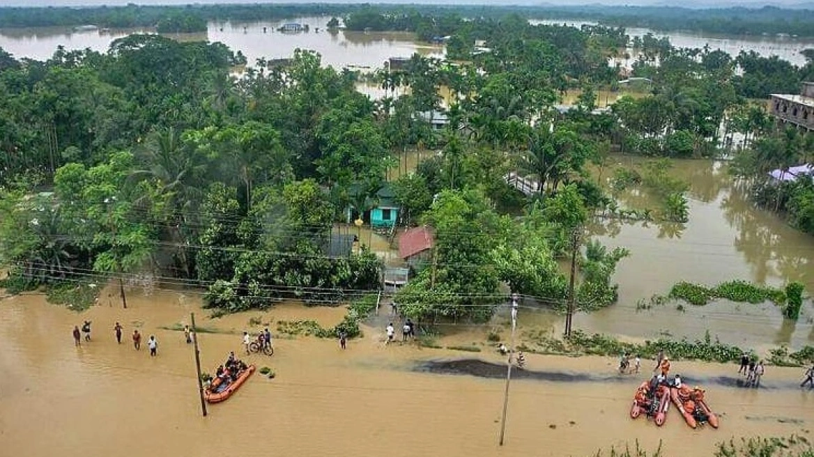 INDIA PLYMMHRES