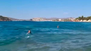 salamina viasmos 20xroni