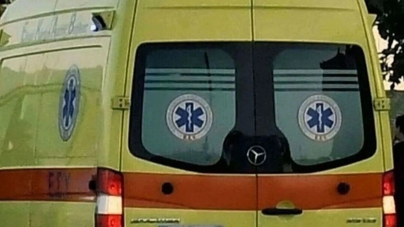 1708947693109 99329015 ekav (1)