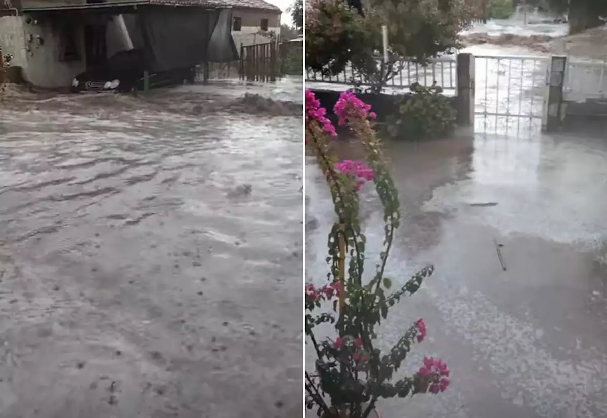 PLIMMIRA RODOPI
