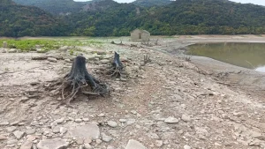 TZOYMERKA FRAGMA SPITIA