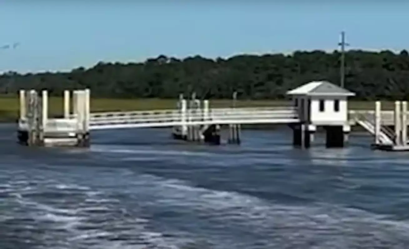 pezogefyra grab