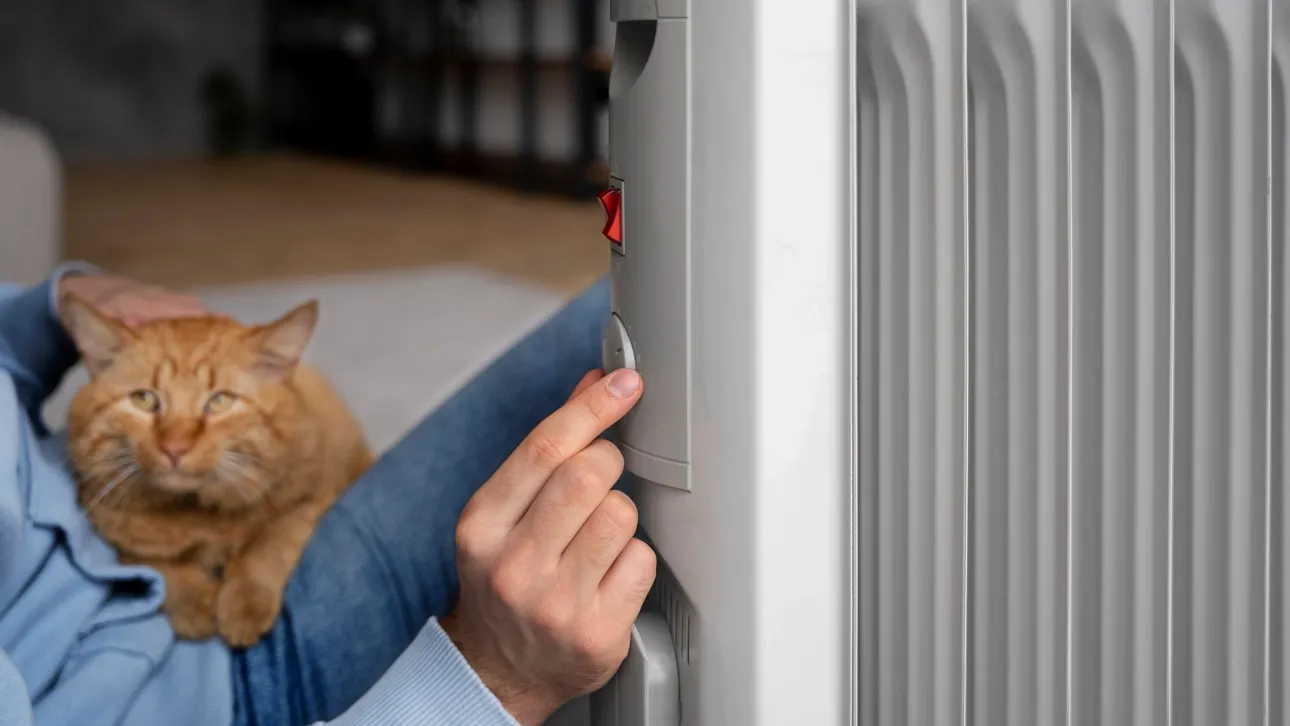 0e0ccad5 owner holding cat turning up heat