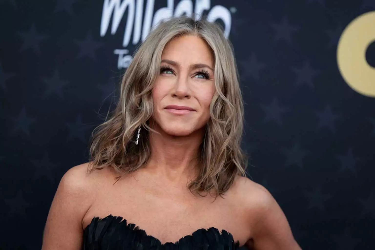 ANISTON SPITI