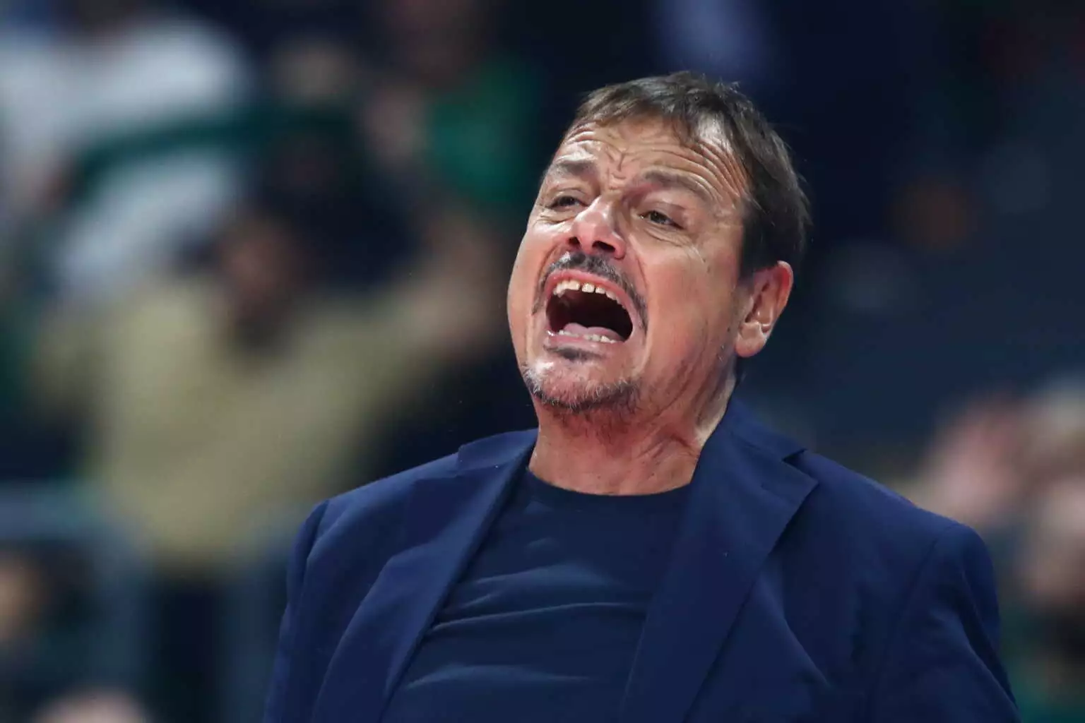 ataman 6 1536x1024