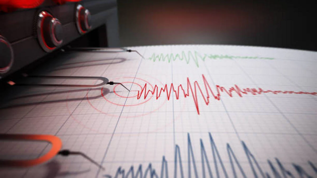 istockphoto 1461043009 612x612 1