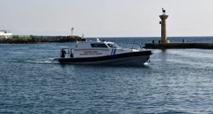 limeniko1