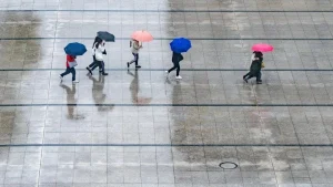 1a6c70bd rain 7995866 1280