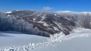 6225d0e0 1667475663752